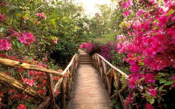 Discovering Houstons Best-Kept Secrets: Off-the-Beaten-Path Gems