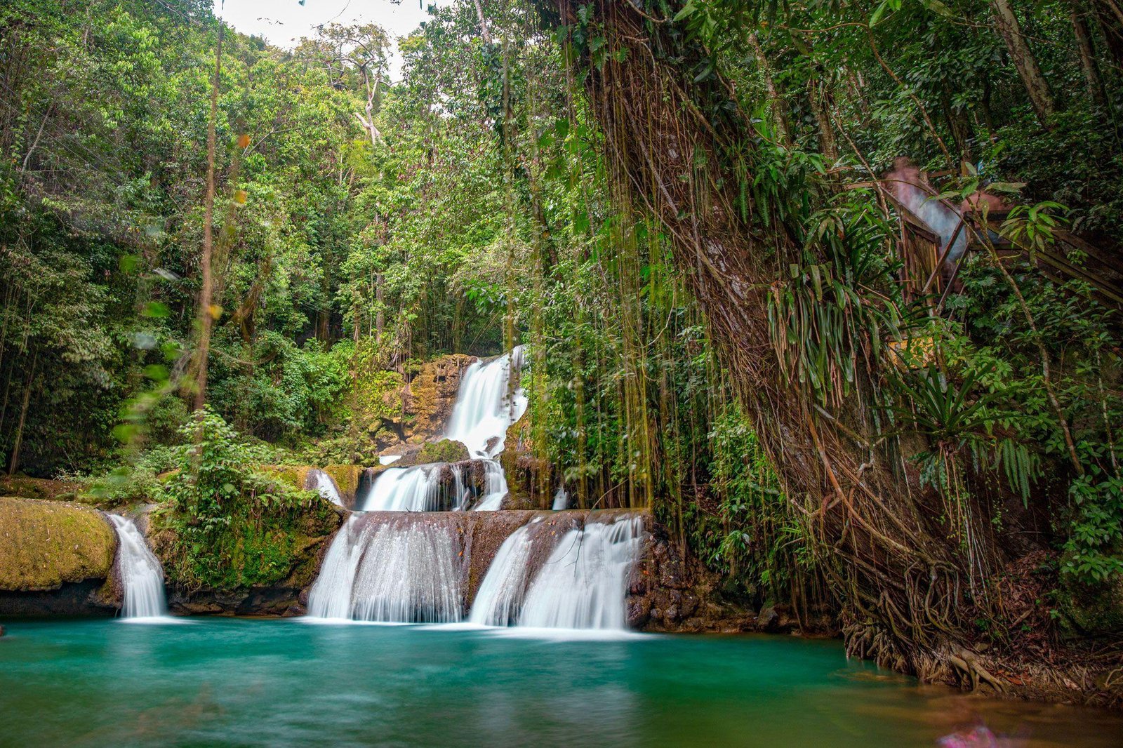Discover the Tranquility of the YS Falls in Jamaica