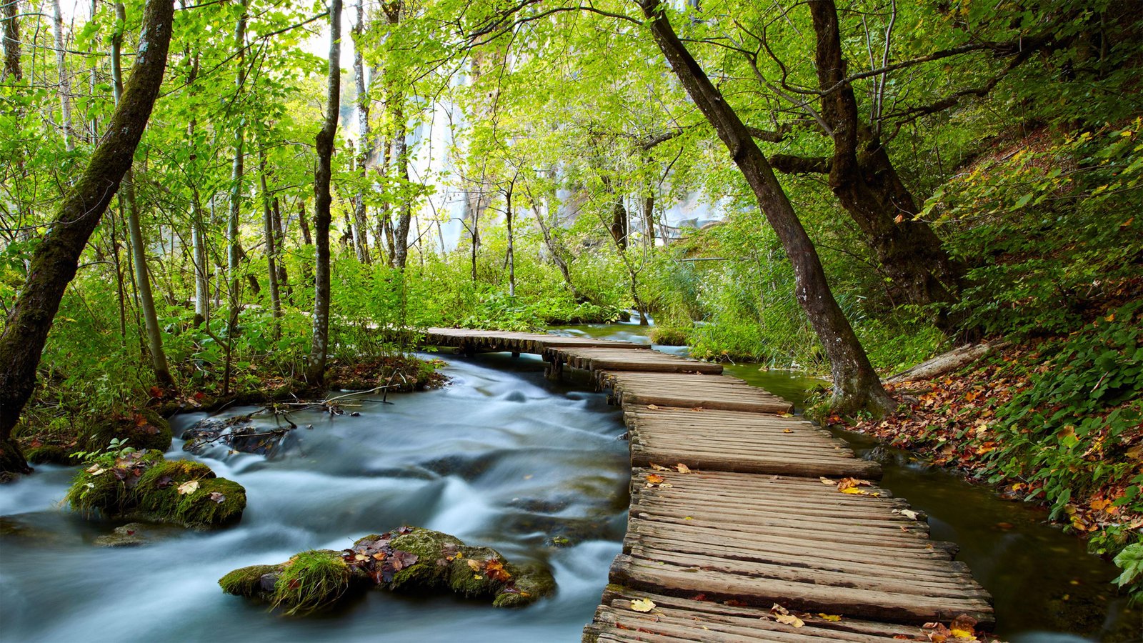 Top-Rated Nature⁣ Escapes for a ‍Relaxing Weekend Getaway