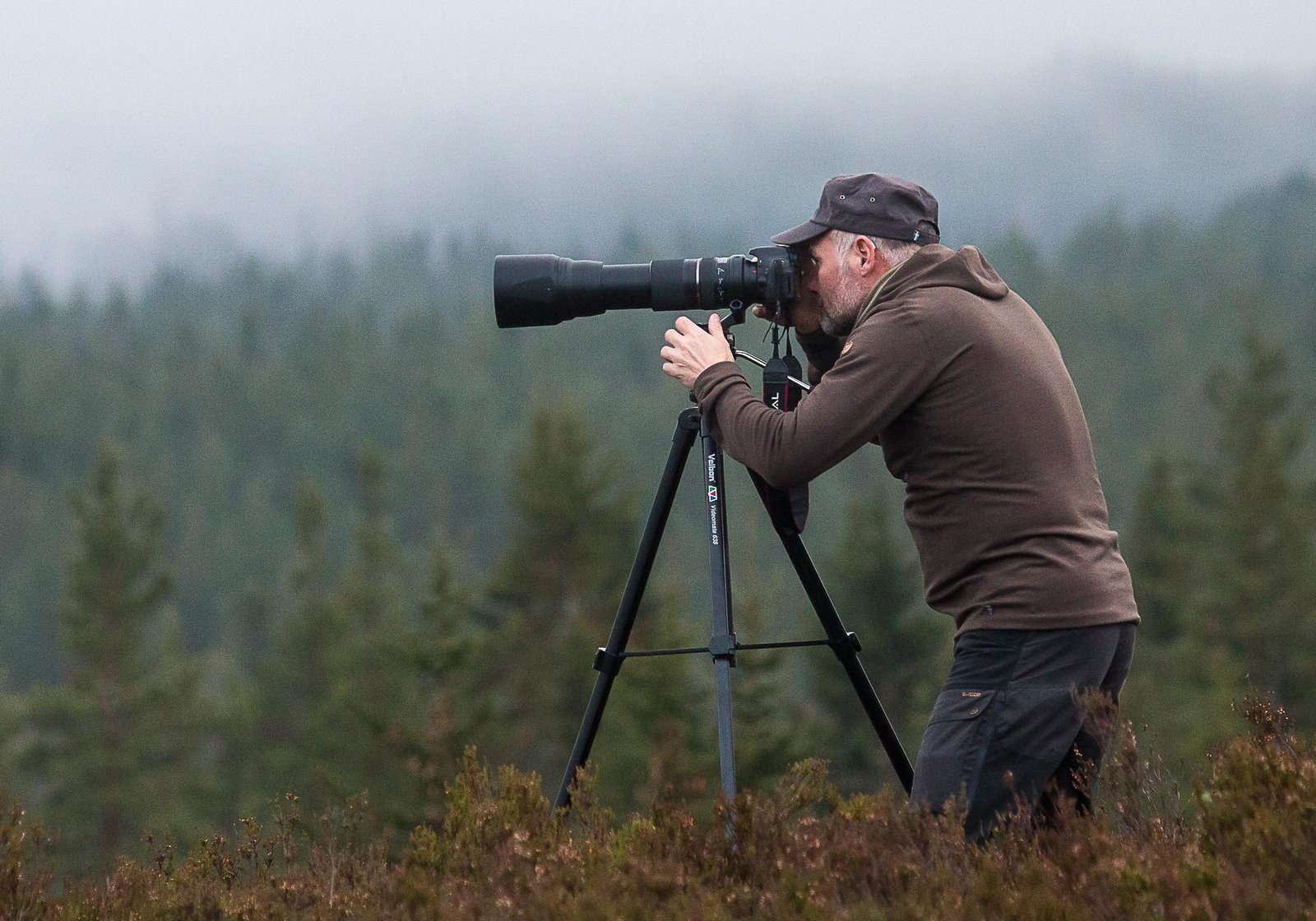 Ideal Seasons for Wildlife Viewing in the Amazon Rainforest of Peru