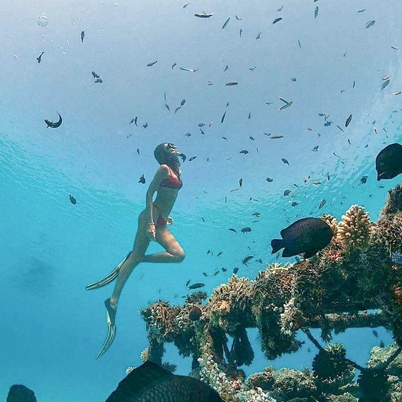 Top Islands for Snorkeling in the Maldives