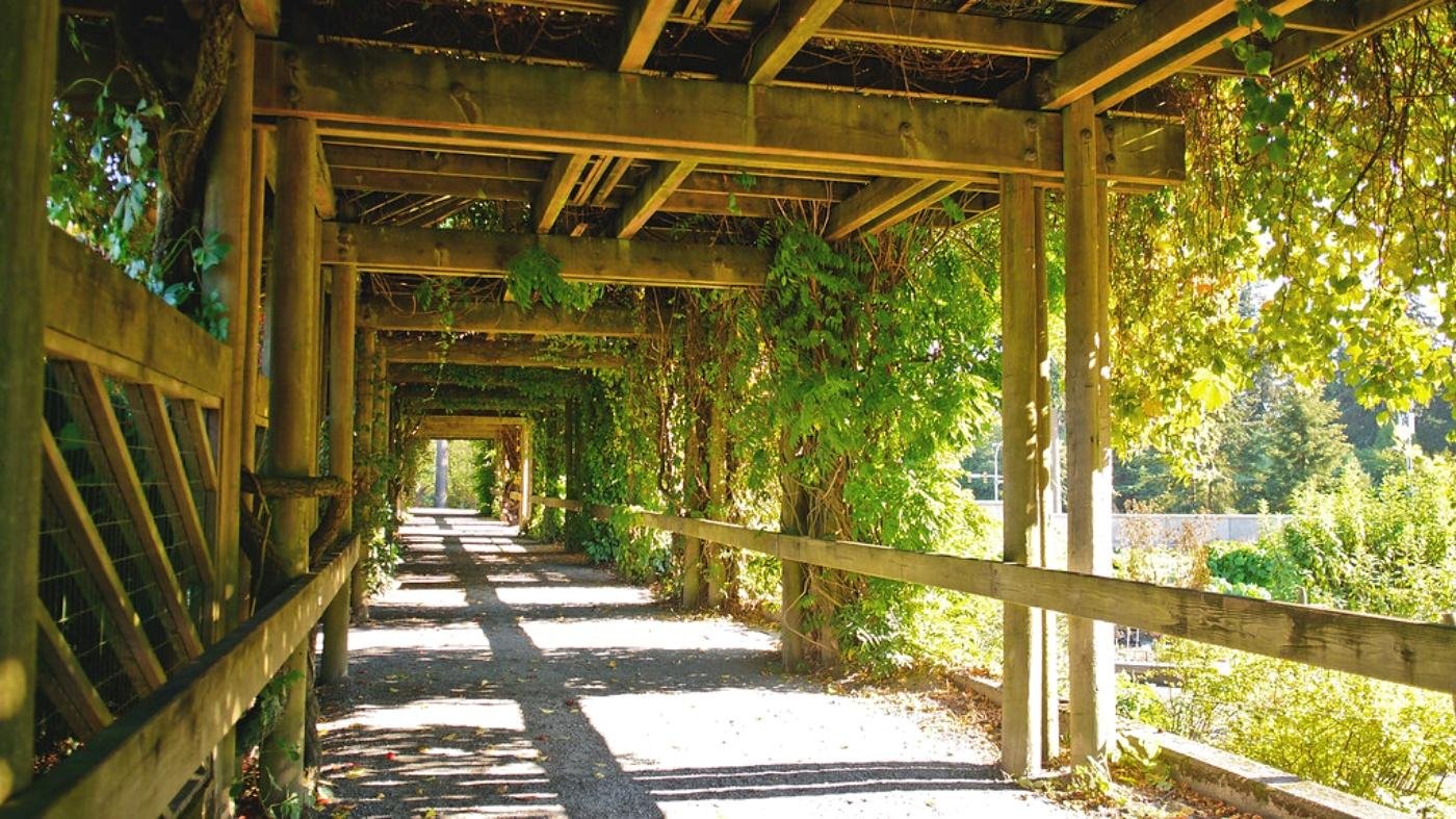 Exploring Vancouvers Best Kept Secrets:‌ Hidden Gems off the Beaten Path