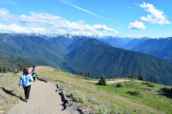 Explore the Stunning Scenery of Hurricane ⁢Ridge