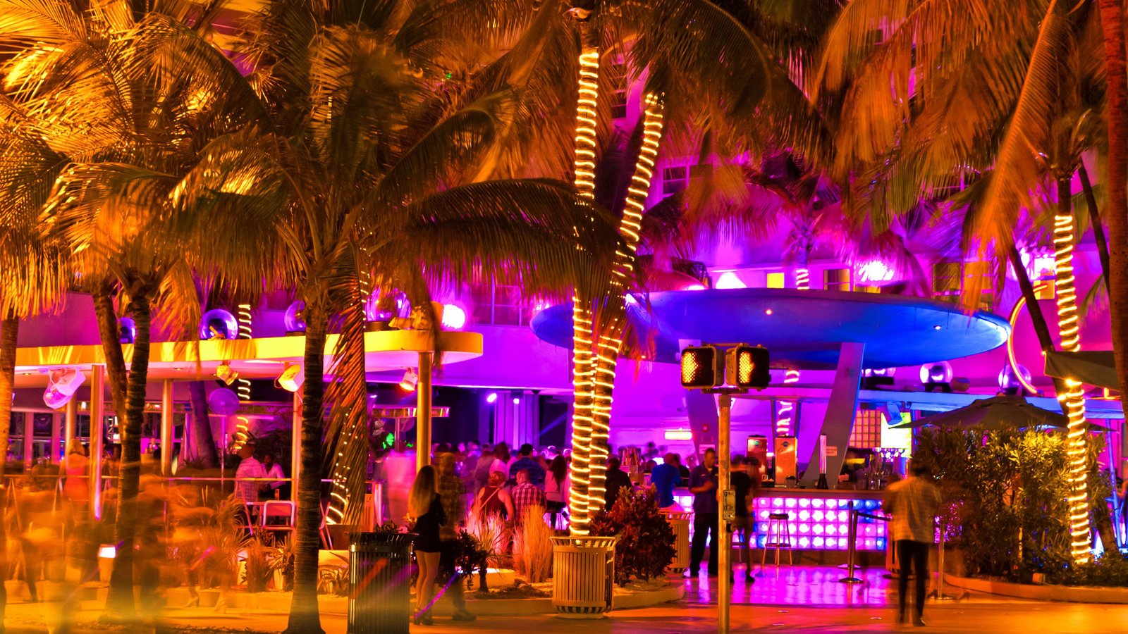Explore Miamis Vibrant Nightlife Scene