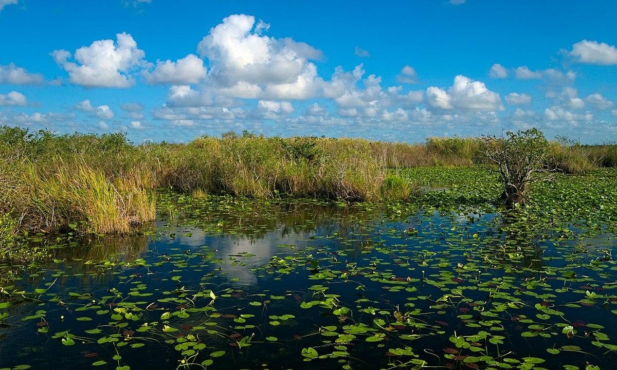 best ways to get to the Everglades from Miami