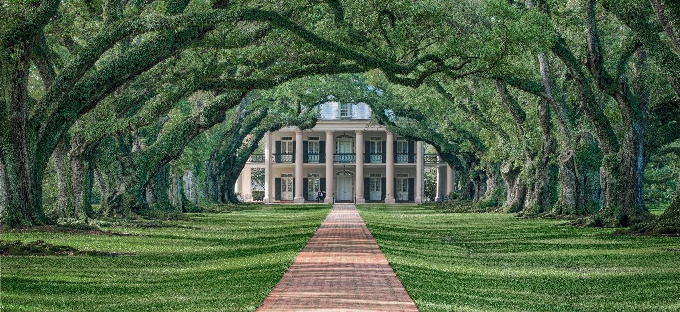 Oak Alley Plantation: A Stroll Through History