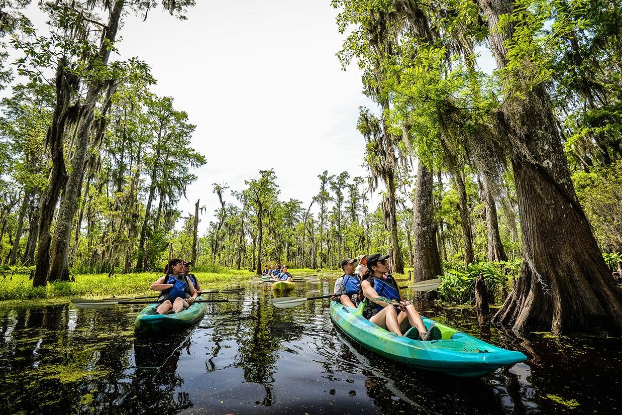 Ideal Seasons for Family Adventures‌ in New Orleans