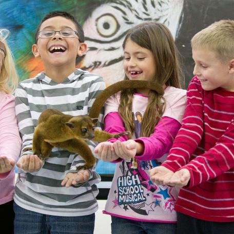 awe-Inspiring Wildlife Encounters at​ the Zoo