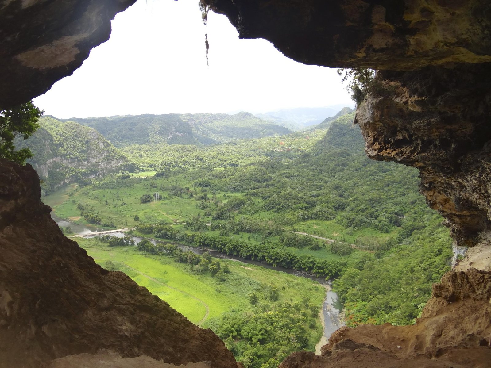 Discover the Enchanting Cueva Ventana: A Must-See Natural Wonder in Puerto Rico
