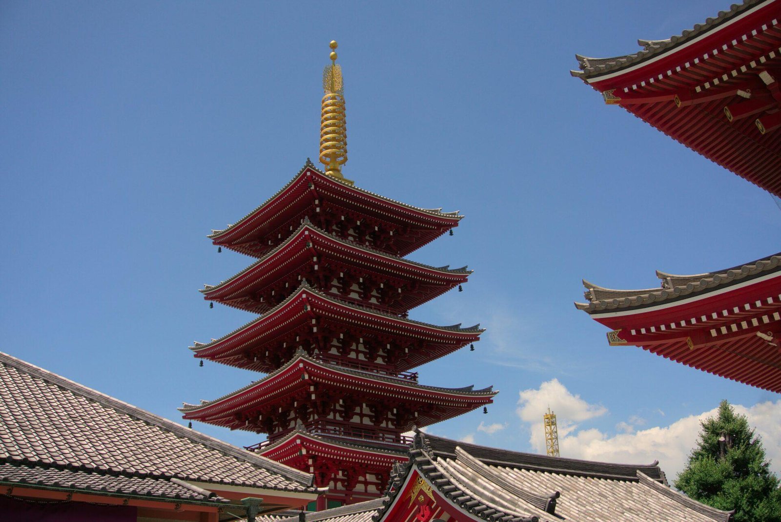 Must-visit Shrines for a spiritual Experience in Tokyo