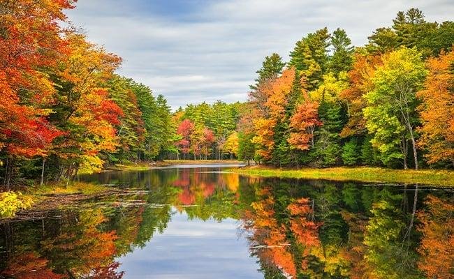 Top Fall Foliage Spots in Utah