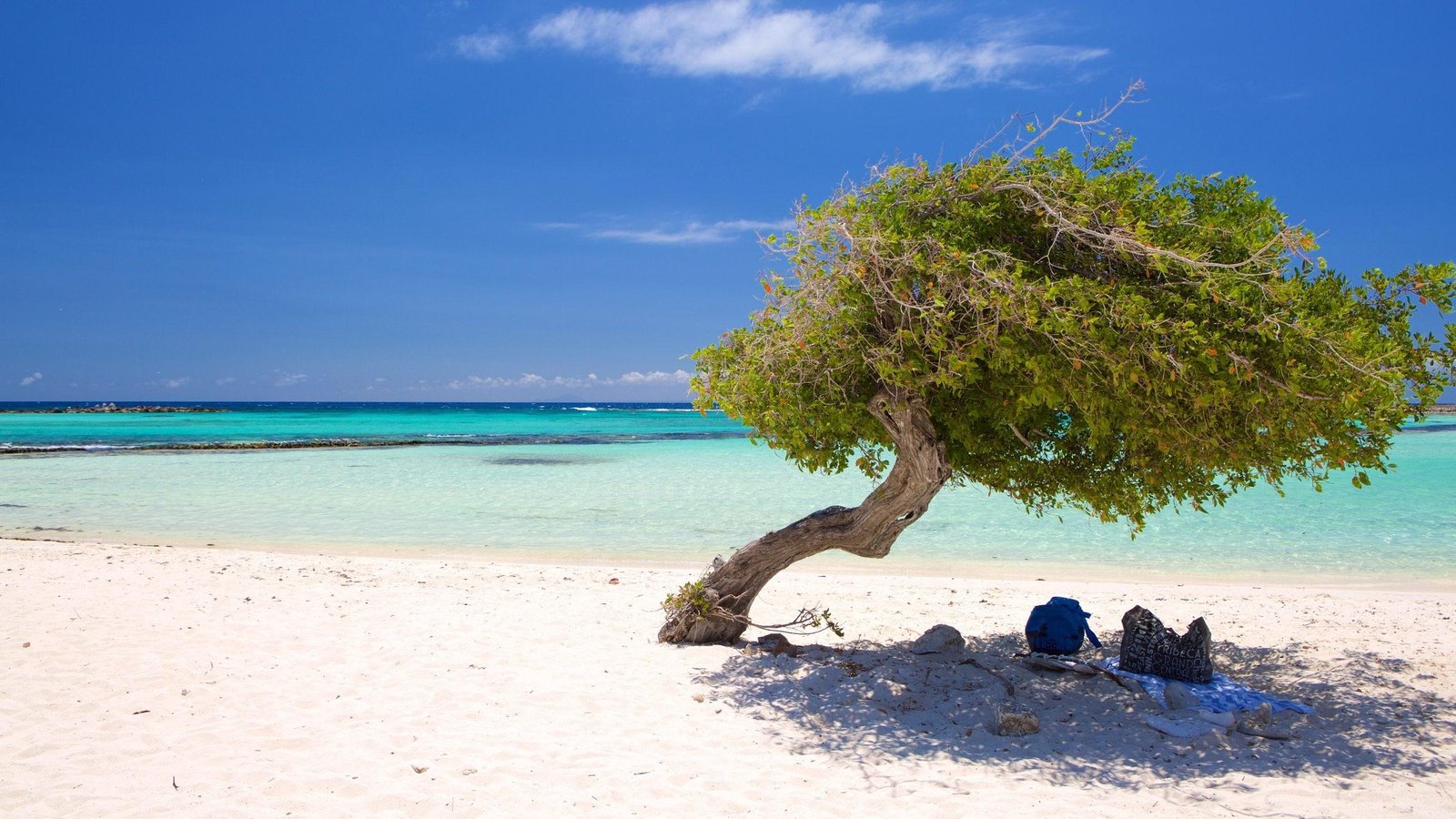Best ⁤Months for Enjoying Ideal Weather and Uncrowded ‌Beaches‌ in Aruba