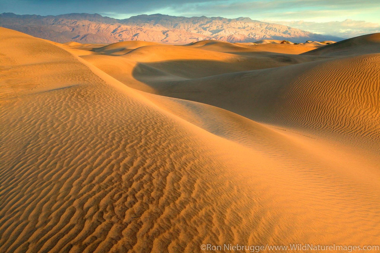 Exploring ​the Untouched Nature​ of the‌ Mojave Desert and Its Enchanting⁢ Landscapes