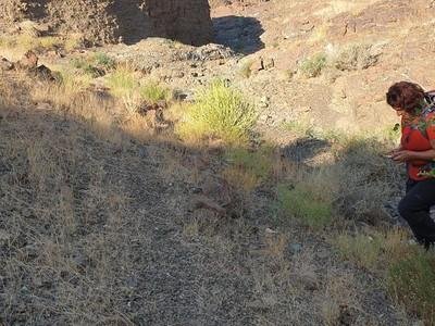 Exploring the Diverse Landscapes ‍of Manamas‌ Hiking​ Trails