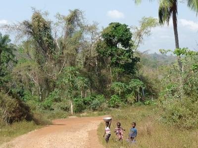 Exploring‌ the scenic Trails‍ of Tenkodogo for a Rejuvenating Hiking Experience