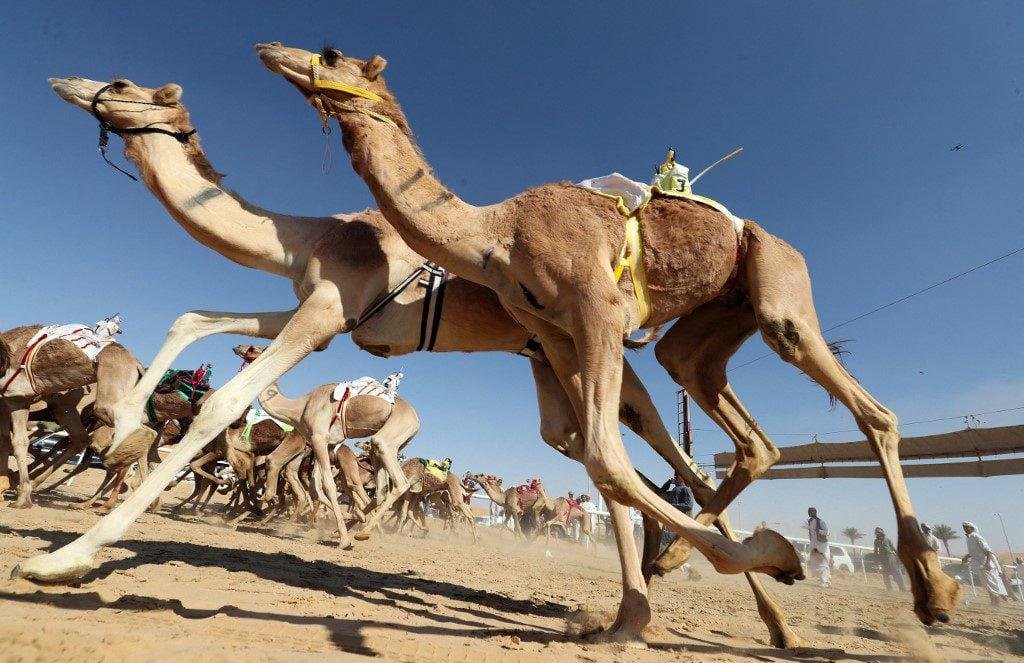 Exploring ⁣the Vibrant‌ Culture and Traditions‍ of ​the United Arab ⁢Emirates