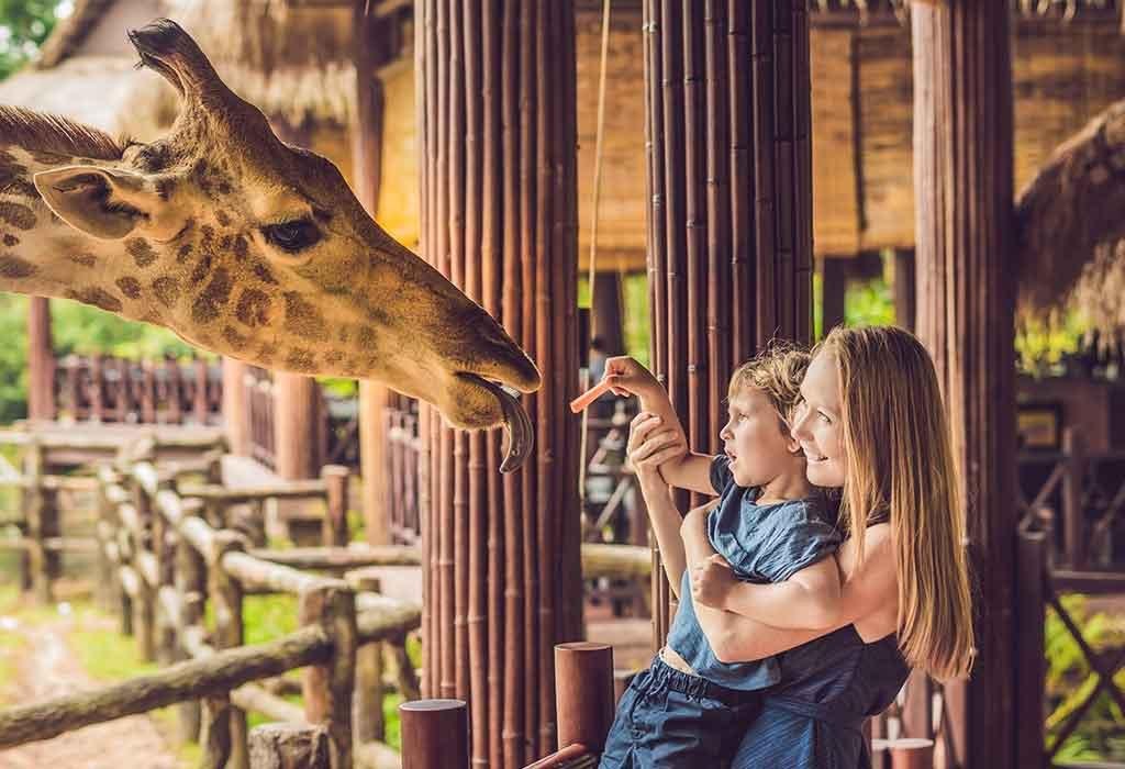 A Visit to the Zoo Essay – A Captivating Experience