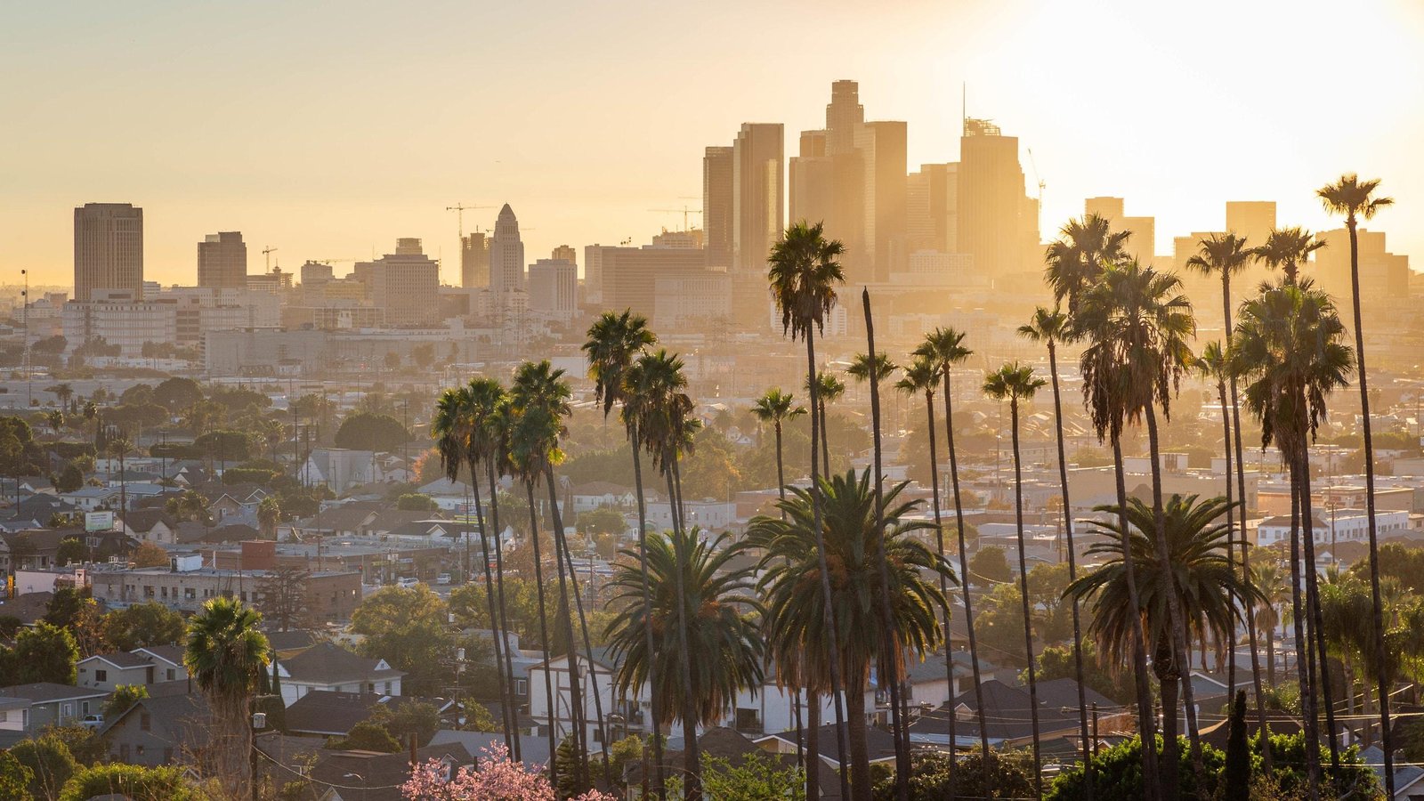 Is March a Good Time to Visit Los Angeles? – Absolutely!