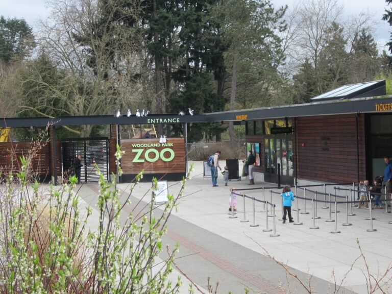 Best Time to Visit Woodland Park Zoo – Ideal Months