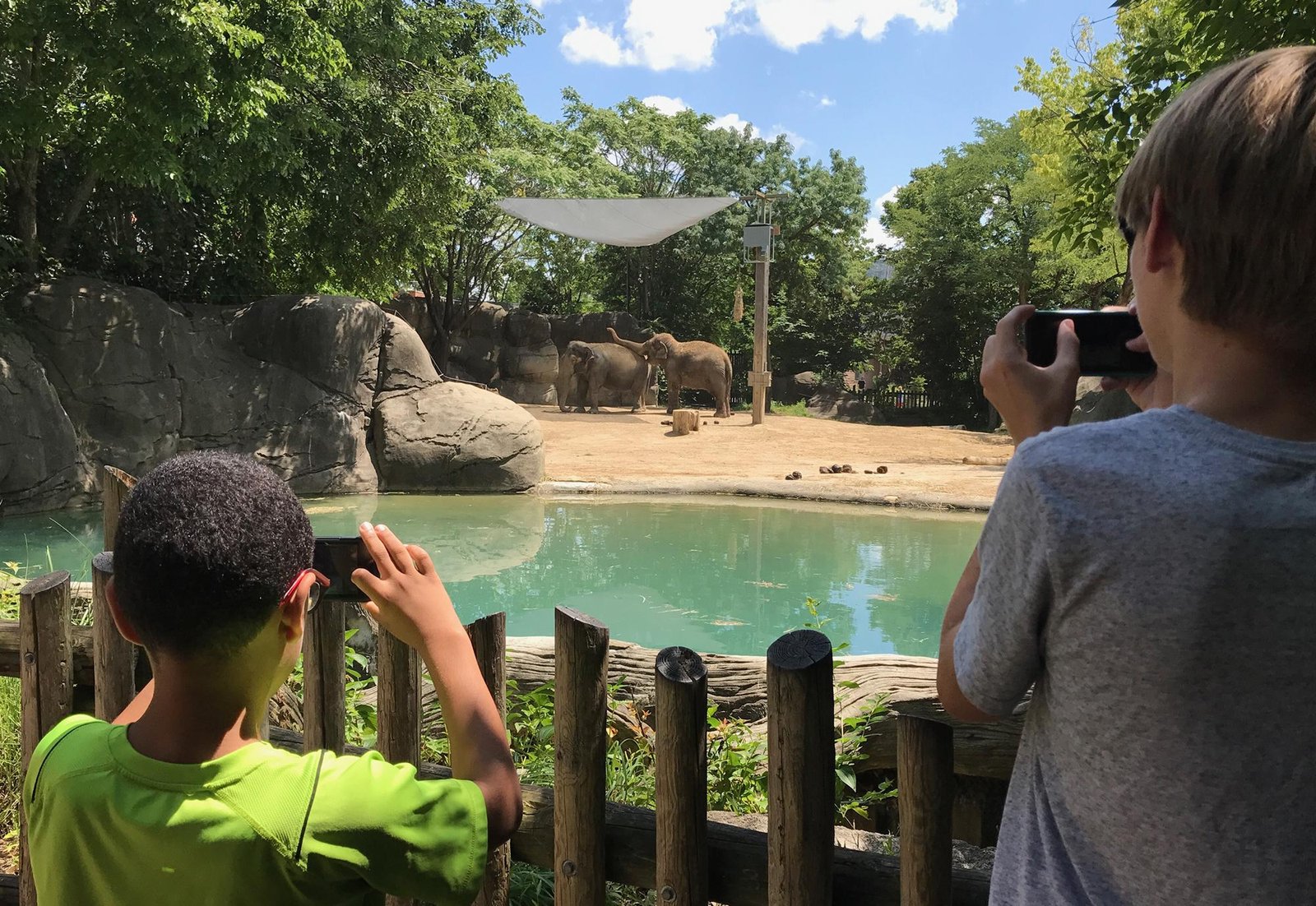 Optimal time to visit Cincinnati Zoo – Make the most of your trip