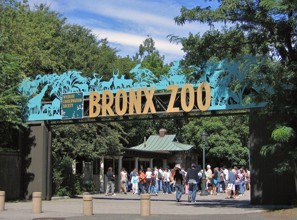 Best Day to Visit Bronx Zoo – Plan Ahead