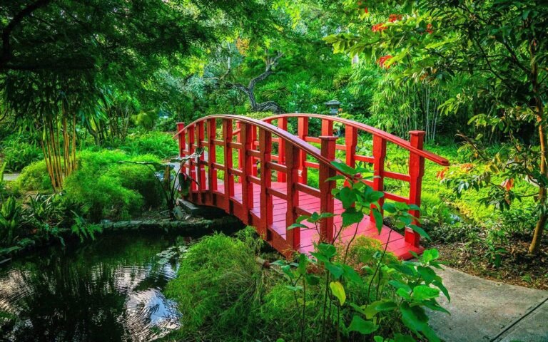 Gardens to Visit in Miami – A Green Escape