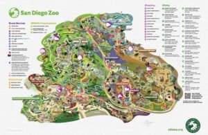 Best Time to Visit the San Diego Zoo – Insider Tips