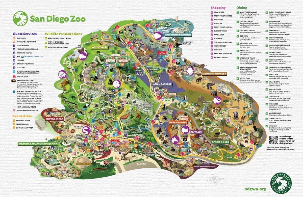 Best Time to Visit the San Diego Zoo – Insider Tips