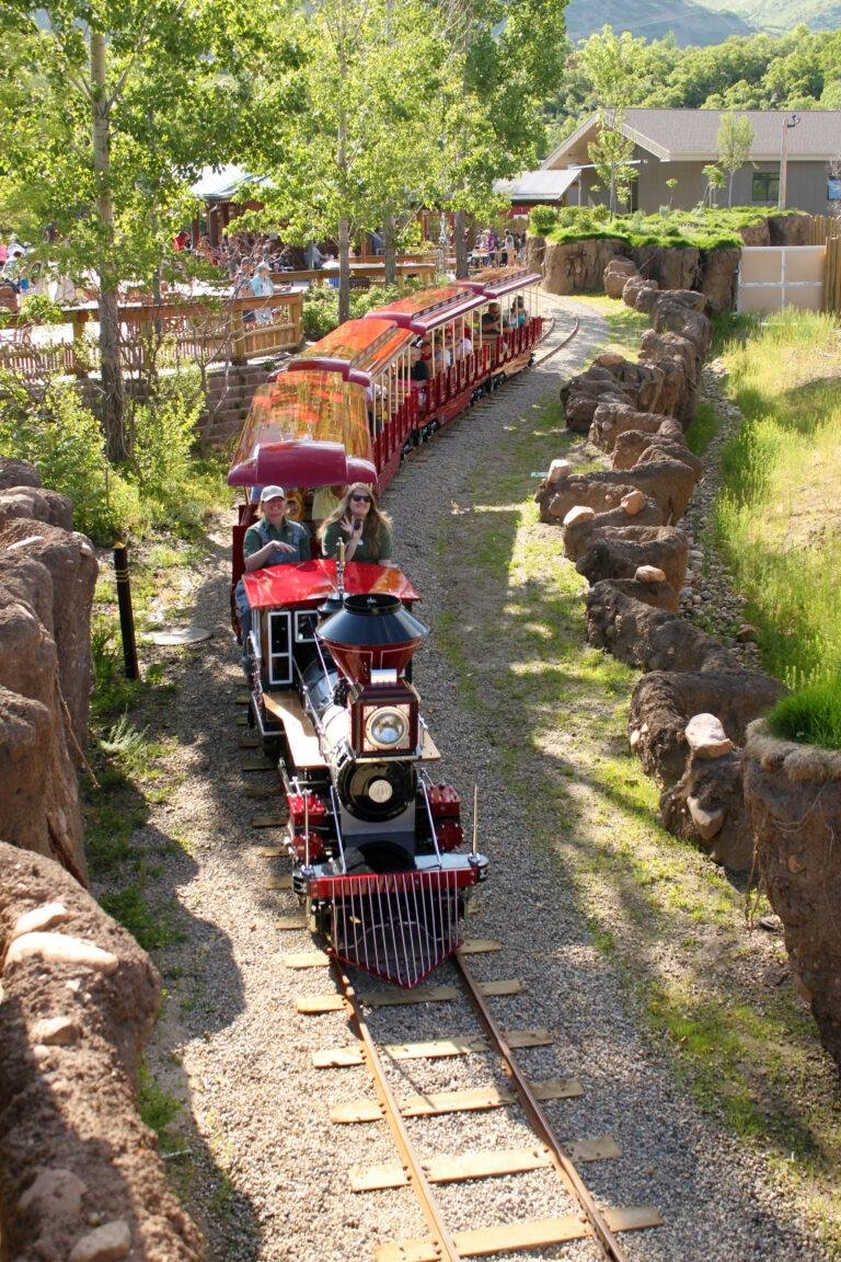 Best Time to Visit Hogle Zoo – Plan Your Trip!