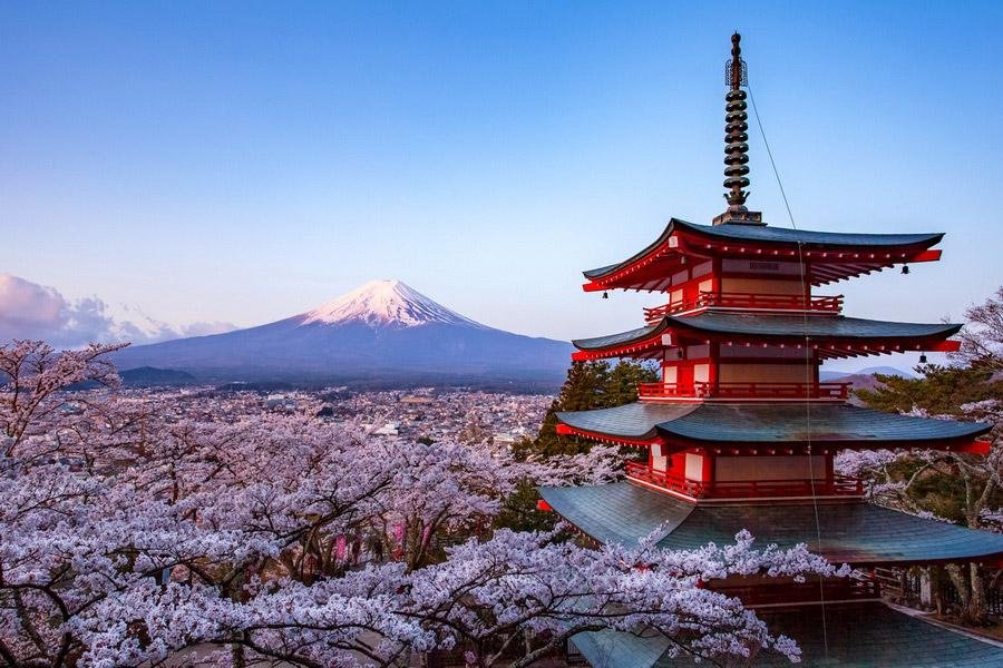 The Worst Month to Visit Japan – What to Expect