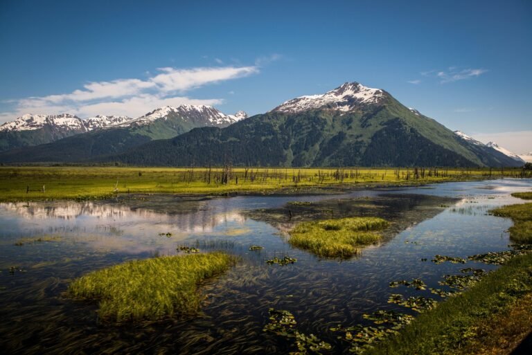 Places to Visit in Alaska During the Summer – Explore Nature