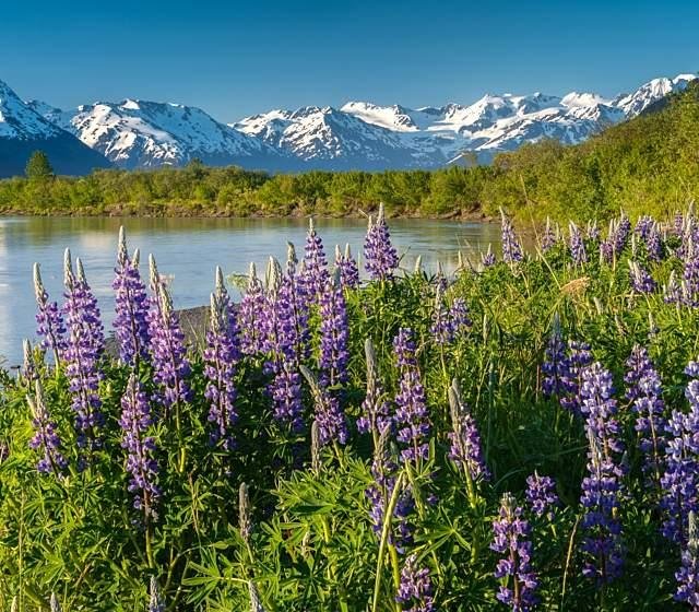 The Best Month to Visit Alaska – Your Guide to Timing