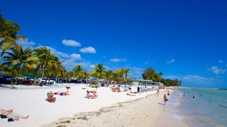 Worst Time to Visit Key West – Insights from Reddit