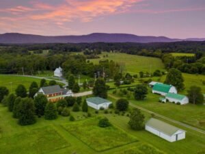 Farms to Visit in North Georgia – A Charming Adventure