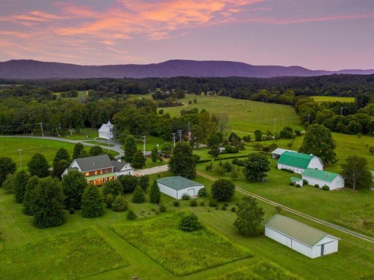 Farms to Visit in North Georgia – A Charming Adventure