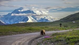 Top Places in Alaska to Visit – A Journey Worth Taking