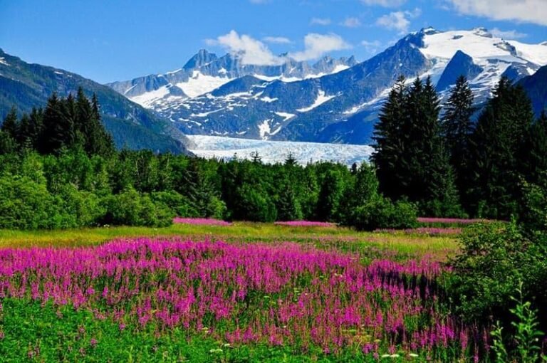 Best Places to Visit in Alaska Summer – Explore Nature’s Wonders