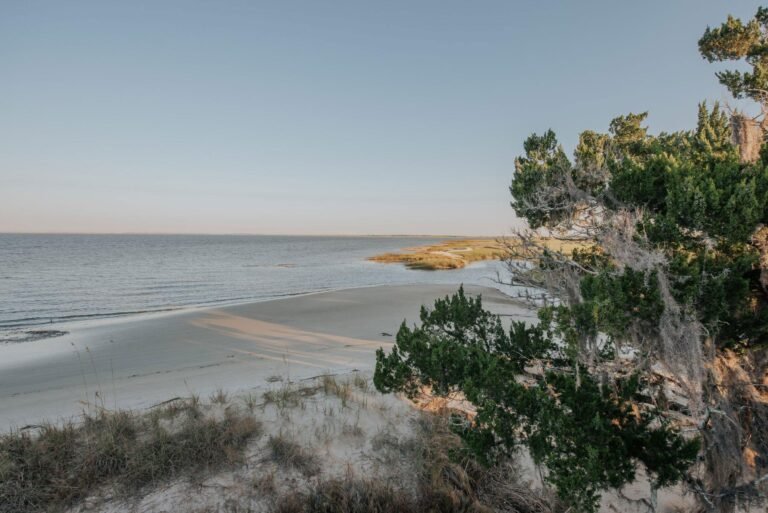 Places to Visit Along the Georgia Coast – Hidden Gems