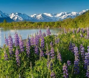 The Best Time to Visit Alaska – Your Ultimate Guide