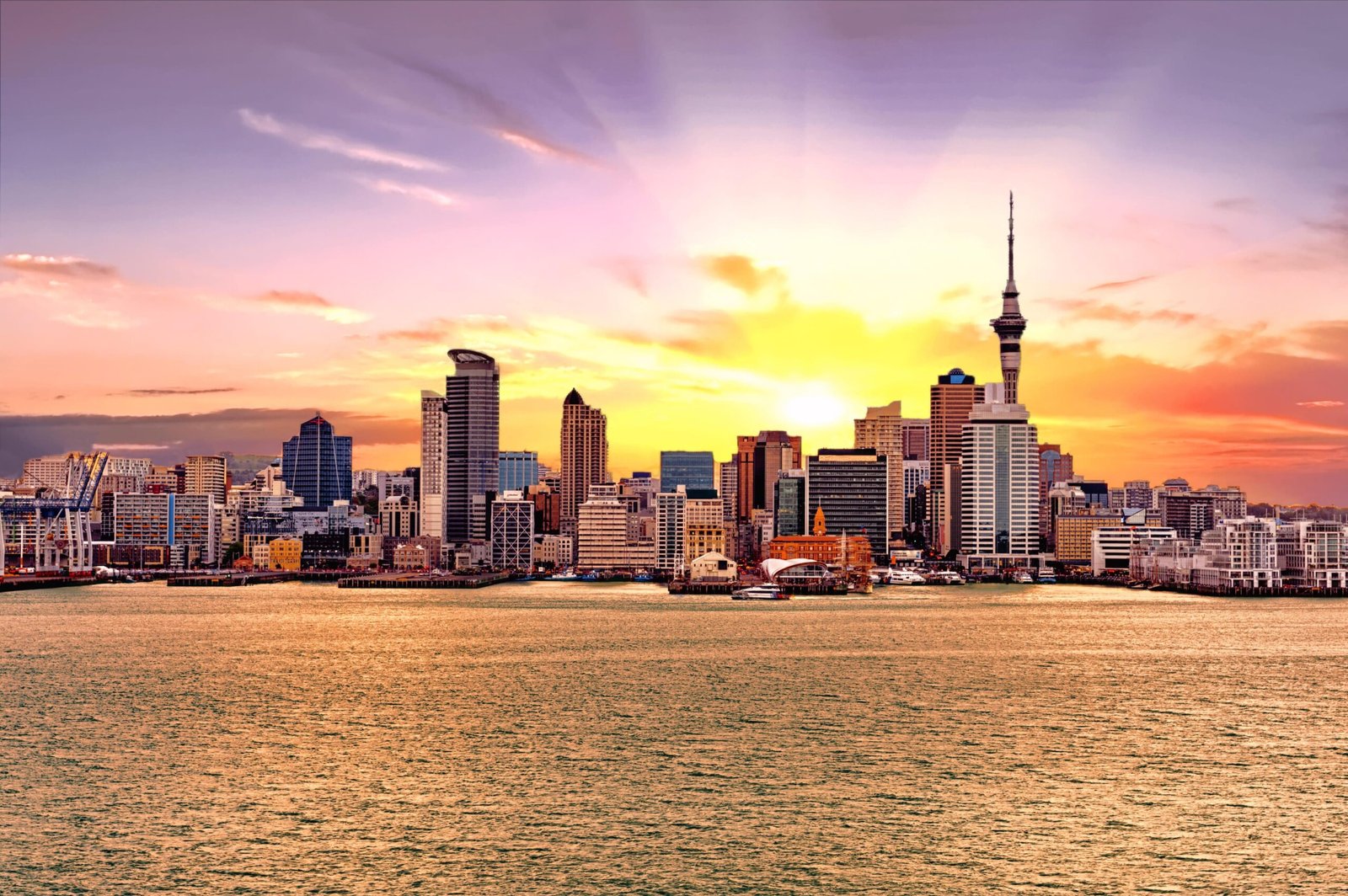 The Best Time to Visit Auckland – A Helpful Guide
