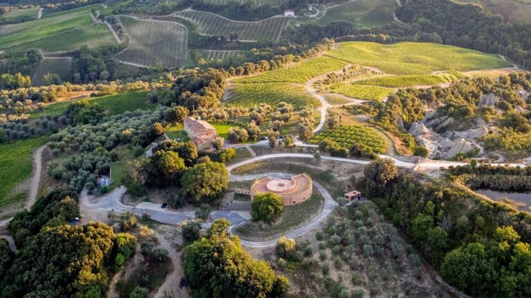 Best Wineries to Visit near Florence – Explore Tuscany’s Gems