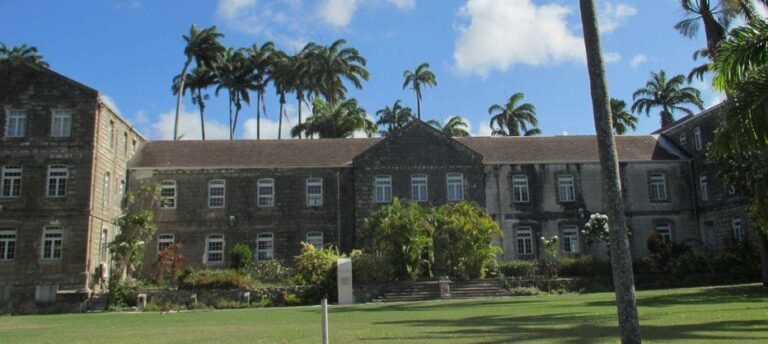Understanding Tax Free In Codrington – What You Should Know