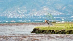 Travel Guide for Burundi – Discover Hidden Treasures