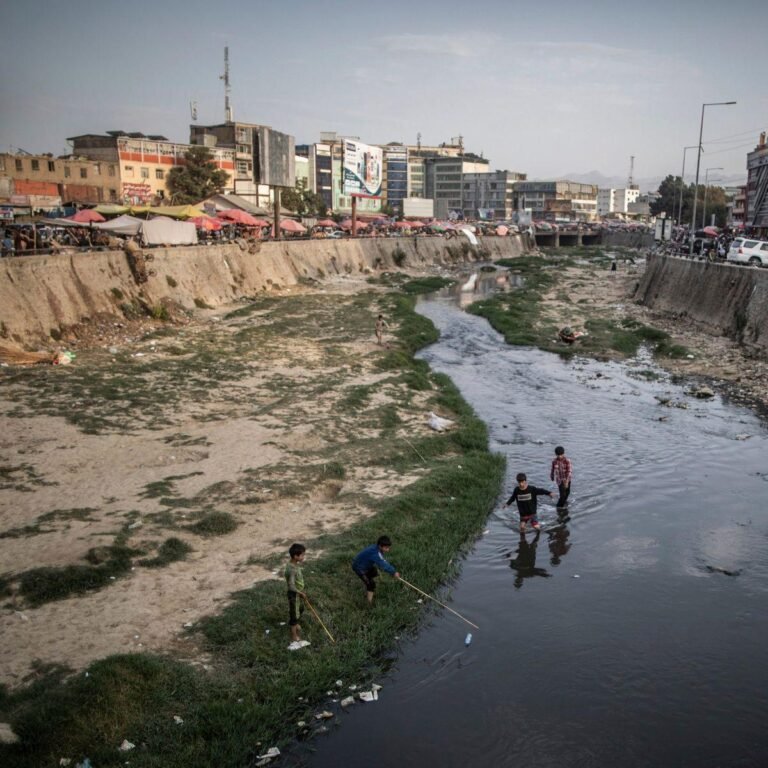 Where to Eat in Kabul – A Guide to Local Cuisine