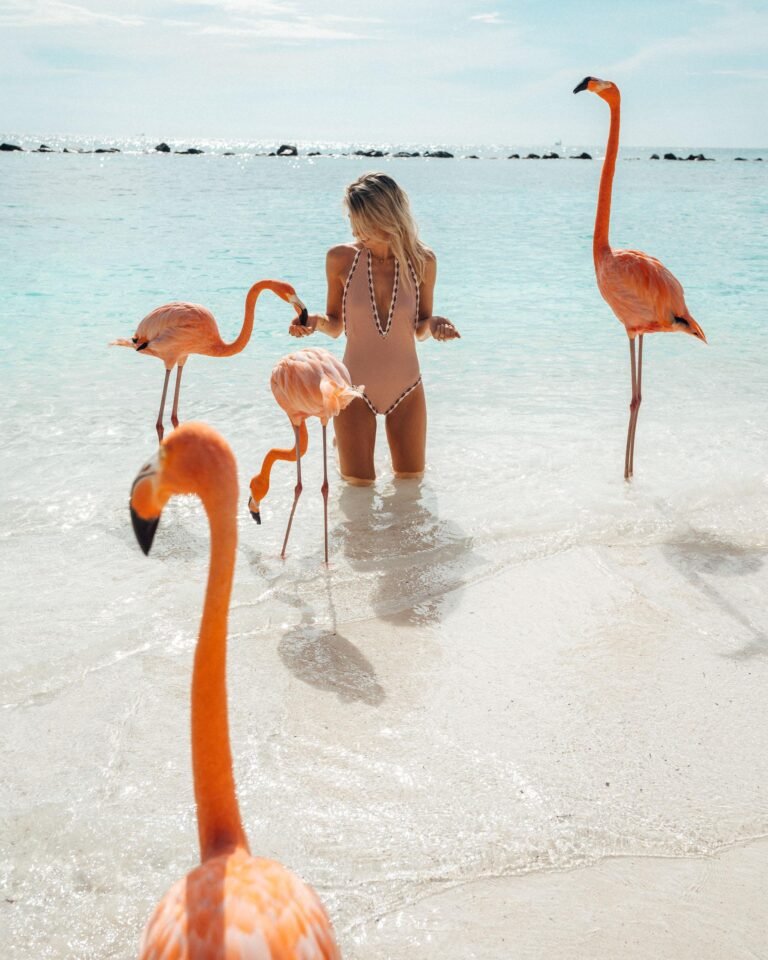 What to Do in Aua – A Guide for Every Traveler