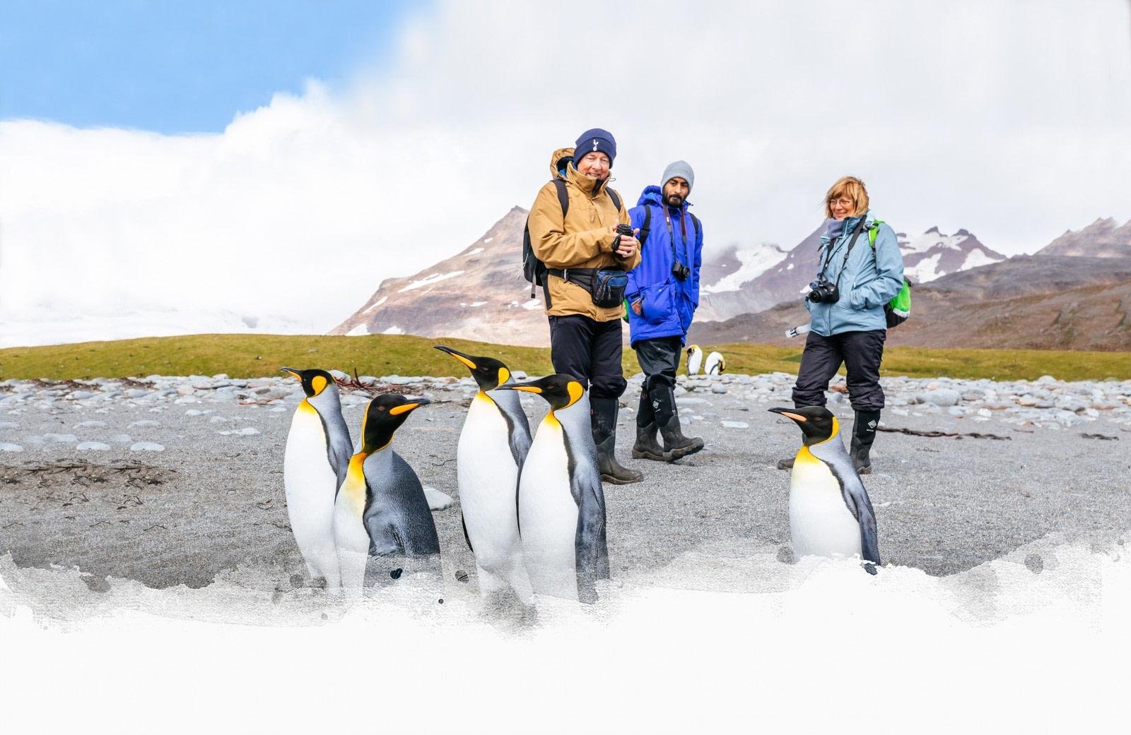 Exploring ​Natures Wonders in ‍South Georgias ‍Untouched Landscapes