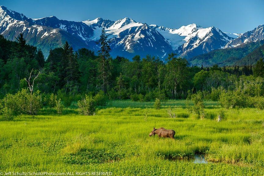 Exploring⁣ the Natural ​Wonders of Alaskas summer‌ Landscape