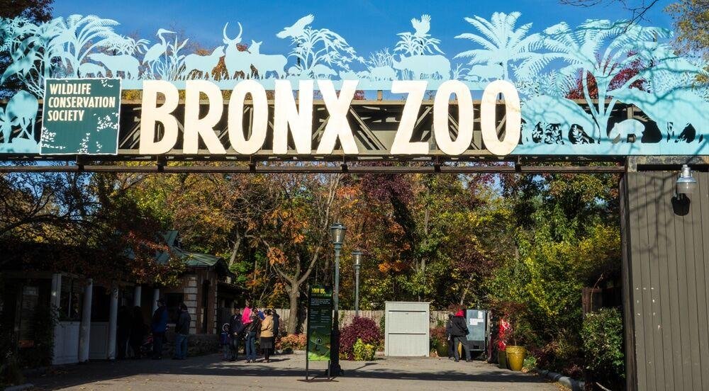 Convenient ⁣Accommodation Options Near the Bronx Zoo
