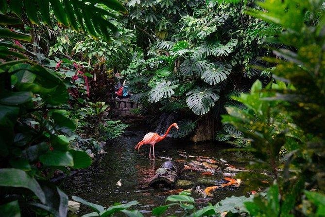 Exploring Local Butterfly Gardens and Sanctuaries for a Day of Awe