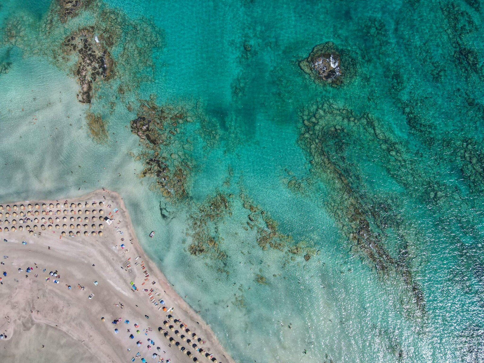 Exploring Scenic Coastal Wonders Just a Short Drive from SFO